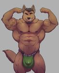  2016 5_fingers abs anthro beard biceps big_muscles black_hair black_nipples brown_body brown_fur canid canine canis clothed clothing ear_piercing ear_ring facial_hair fingers flexing fur grin hair huge_bulge huge_muscles jockstrap knuxlight looking_at_viewer male mammal muscular muscular_male nipples pecs piercing quads simple_background smile solo tattoo topless tremor_(character) underwear underwear_only veiny_muscles wolf 