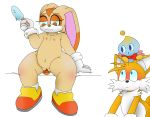  anthro canid canine chao_(sonic) cream_the_rabbit digital_media_(artwork) female fox fuzefurry genitals hi_res lagomorph leporid male mammal miles_prower pussy rabbit sonic_the_hedgehog_(series) tagme young 