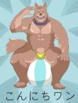  2011 anthro barazoku brown_body brown_fur bulge canid canine clothing eyes_closed fur humanoid_hands kemono launcher_r male mammal muscular nipples sitting solo underwear 