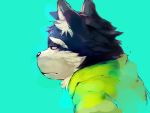  2018 4:3 anthro canid canine ch3cooh1231 clothed clothing hi_res hoodie kemono male mammal portrait sad simple_background solo topwear 