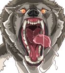  ambiguous_gender attack bodily_fluids canid canine canis fangs feral fur gaping_mouth grey_body grey_fur hi_res mammal mouth_shot open_mouth saliva saliva_string sharp_teeth simple_background snarling solo teeth tongue tongue_out white_background wolf wolftapioca yellow_eyes 