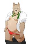  2011 anthro belly bottomwear bulge canid canine canis clothed clothing domestic_dog genital_outline kemono launcher_r male mammal moobs necktie nipples open_shirt overweight overweight_male pants penis_outline shirt simple_background solo topwear underwear white_background 