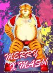  2010 anthro belly bulge christmas clothing felid hat headgear headwear holidays kemono launcher_r male mammal moobs overweight overweight_male pantherine santa_hat solo tiger underwear 
