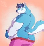  2019 anthro belly belly_grab blue_body blue_fur blue_hair blue_nose butt canid canine canis claws clothed clothing digital_drawing_(artwork) digital_media_(artwork) fur green_eyes hair hi_res holding_belly looking_back male mammal overweight overweight_male pants_down partially_clothed rear_view skaifox smile solo topless underwear wolf 