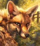  2020 ambiguous_gender black_nose blurred_background brown_body brown_eyes brown_fur canid canine detailed fence feral fox front_view fur green_background headshot_portrait kenket looking_at_viewer looking_back mammal multicolored_body multicolored_fur outside painting_(artwork) plant portrait shrub simple_background smile solo text traditional_media_(artwork) two_tone_body two_tone_fur url whiskers white_body white_fur 