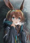  1girl akabane_hibame amiya_(arknights) animal_ears arknights bangs black_jacket blue_eyes brown_hair bunny_ears eyebrows_visible_through_hair hair_between_eyes highres jacket long_hair long_sleeves open_clothes open_jacket sidelocks solo 