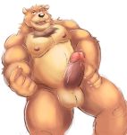  2020 anthro balls belly brown_body brown_fur erection fur genitals hi_res humanoid_hands humanoid_penis male mammal moobs nipples overweight overweight_male penis simple_background solo ursid vitashi white_background 