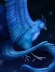  2016 ambiguous_gender articuno beak bird_feet blue_body blue_feathers chiakiro cool_colors feathers feral legendary_pok&eacute;mon nintendo pok&eacute;mon pok&eacute;mon_(species) scutes solo text url video_games 