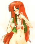  blue_eyes braid breasts hong_meiling long_hair nokishita nude red_hair solo touhou towel twin_braids 