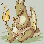  9_6 animated charizard charmander pokemon 