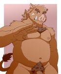  2020 anthro belly blush brown_body brown_fur fur genitals hi_res jacklantern_11 kemono male mammal moobs navel nipples overweight overweight_male penis pubes simple_background solo suid suina sus_(pig) wild_boar 