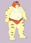  2020 anthro belly felid hi_res humanoid_hands male mammal mask moobs navel nipples overweight overweight_male pantherine professor_fluff simple_background solo tiger wrestler 