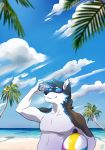  2020 anthro beach canid canine canis day detailed_background digital_media_(artwork) domestic_dog eyewear husky male mammal nordic_sled_dog outside sand seaside shoreline sky smile solo spitz sunglasses thelupinprincess water 