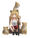  1girl animal animal_ears arknights baseball_bat black_footwear blonde_hair candy collarbone commentary_request food hair_between_eyes highres lion lion_ears lion_girl lion_tail lollipop looking_at_viewer medium_hair nhaliz orange_eyes red_shorts shorts siege_(arknights) simple_background sitting solo tail white_tank_top younger 