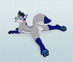  anthro backsack balls beard biped black_hair blue_body blue_eyes blue_fur butt canid canine canis coyote darkfawks facial_hair fox fur genitals gift grey_body grey_fur hair hindpaw hybrid kwik_(artist) male mammal paws piercing smile solo 