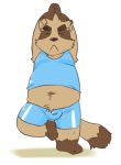  2020 anthro belly bottomwear brown_body brown_fur bulge canid canine clothing eyes_closed fur inuryu kemono male mammal raccoon_dog shirt shorts simple_background slightly_chubby solo tanuki topwear white_background 