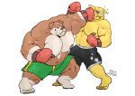  2019 5_toes anthro big_muscles bird_dog black_nipples black_nose black_pawpads bodily_fluids bottomwear boxing boxing_gloves brown_body brown_fur bulldog canid canine canis clothed clothing domestic_dog duo fight fur green_eyes handwear hector_(megawaffle) hi_res huge_muscles hunting_dog labrador male male/male mammal mastiff max_(megawaffle) megawaffle_(artist) molosser multicolored_body multicolored_fur muscular muscular_male nipples pawpads pecs plantigrade retriever shorts simple_background sport stubble sweat toes topless two_tone_body two_tone_fur white_background white_body white_fur yellow_body yellow_fur 