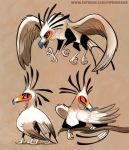  accipitriform ambiguous_gender avian bird black_body black_feathers branch brown_eyes cryptid-creations feathers gryphon looking_back orange_body orange_feathers personal_grooming secretary_bird simple_background tan_background text url white_body white_feathers wood 