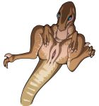  2020 absurd_res anus biped blue_eyes butt claws digital_media_(artwork) dinosaur dromaeosaurid female feral genitals hi_res kaliber looking_at_viewer nude pussy reptile scalie simple_background solo theropod toe_claws tongue utahraptor velociraptor 