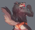  2019 4_fingers achakura anthro blush canid canine canis clothing fingers fur grey_background grey_body grey_fur hi_res looking_at_viewer male mammal muscular muscular_male orange_eyes raised_tail rear_view simple_background solo standing tongue tongue_out underwear wolf 
