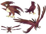  2019 4:3 4_toes 4_wings action_pose alpha_channel ambiguous_gender anisodactyl avian avieon beak biped bird bird_feet black_beak black_body black_claws black_feathers black_markings blue_eyes brown_body brown_feathers brown_tail brown_wings claws countershade_face countershade_torso countershading digital_drawing_(artwork) digital_media_(artwork) eye_markings facial_markings feathered_wings feathers feral flying folded_wings front_view full-length_portrait head_markings kindred_fates kinfolk_(species) light lighting looking_at_viewer looking_down markings model_sheet multi_wing multicolored_body multicolored_feathers multiple_angles multiple_poses official_art portrait pose rear_view shadow side_view simple_background skymill_studios smile solo spread_wings standing suspended_in_midair tail_feathers talons toe_claws toes transparent_background unknown_artist video_games white_body white_countershading white_feathers white_pupils wings zygodactyl 