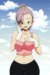  absurdres black_pants blue_eyes bra_(dragon_ball) cloud dragon_ball dragon_ball_multiverse english_commentary gloves highres ledy open_mouth pants pink_tank_top ponytail purple_hair signature sky white_gloves 