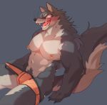  2019 absurd_res achakura anthro blush bulge canid canine canis clothing crotch_tuft grey_background hi_res male mammal muscular muscular_male nipple_piercing nipples open_mouth orange_eyes piercing simple_background solo tongue tongue_out tuft underwear underwear_pull wolf 