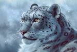  2020 chiakiro felid fur grey_body grey_fur mammal pantherine snow_leopard solo spots text url whiskers 