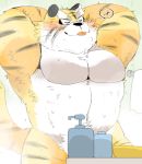  2020 anthro bathing belly blush bodily_fluids eyes_closed felid hi_res hyaku_(artist) kemono male mammal musclegut navel pantherine solo sweat tiger tongue tongue_out 