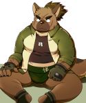  2020 anthro brown_body brown_fur canid canine canis clothing cute_fangs domestic_dog fur hi_res kemono male mammal overweight overweight_male scar shirt simple_background sitting solo tokyo_afterschool_summoners topwear video_games xzk yasuyori 