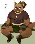  2020 belly blush brown_body brown_fur canid canine canis clothing domestic_dog fur hi_res humanoid_hands japanese_text kemono male mammal overweight overweight_male scar shirt simple_background sitting text tokyo_afterschool_summoners topwear video_games xzk yasuyori 