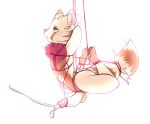  anthro biped fluffy genitals hi_res humanoid_penis league_of_legends male mammal penis raccoonpie recon_scout_teemo riot_games teemo_(lol) video_games yordle 