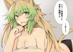  1girl ahoge animal_ears atalanta_(fate) bangs blush braid breasts brown_hair cat_ears eyebrows_visible_through_hair fate/apocrypha fate_(series) green_eyes green_hair large_breasts long_hair looking_at_viewer multicolored_hair nahu solo tail two-tone_hair 