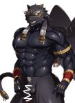  aaassstaro abs angry balls bottomless clothed clothing felid flaccid genitals male mammal melanistic muscular muscular_male nipples pantherine pecs penis pubes spandex tezcatlipoca tight_clothing tokyo_afterschool_summoners video_games wings 