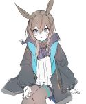  1girl amiya_(arknights) animal_ears arknights ban_mumani bangs black_jacket blue_eyes brown_hair bunny_ears eyebrows_visible_through_hair hair_between_eyes highres jacket long_sleeves looking_at_viewer open_clothes open_jacket open_mouth pantyhose shirt simple_background sitting sketch solo sweat triangle_mouth white_background 