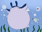 ambiguous_gender batoid belly belly_inflation bodily_fluids bubble crestdraggy duo eyes_closed female feral fish generation_2_pokemon hyper_inflation inflation male male/female manta_ray mantine marine nintendo pokemon pokemon_(species) remoraid seaweed shocked_face sweat sweatdrop underwater water