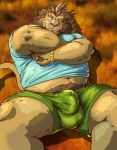  2020 anthro belly bottomwear bulge clothing felid genital_outline hi_res humanoid_hands kemono lion male mammal navel overweight overweight_male pantherine penis_outline pubes raichoclub shirt shorts solo topwear 