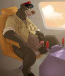 2020 4_fingers aircraft airplane anthro balls baloo bedroom_eyes bodily_fluids bottomless clothed clothing cockpit disney fingers fur genital_fluids genitals hat headgear headwear hi_res humanoid_penis looking_at_viewer male mammal narrowed_eyes partially_clothed penis precum precum_string seductive sepulte signature sitting slightly_chubby solo talespin tongue two_toned ursid 