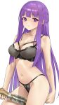  1girl black_bra black_panties blunt_bangs bra breasts cleavage closed_mouth collarbone commentary_request fern_(sousou_no_frieren) highres holding large_breasts long_hair looking_at_viewer navel panties purple_eyes purple_hair sidelocks simple_background solo sousou_no_frieren standing straight_hair underwear underwear_only white_background yamano_rita 