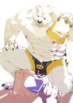 abs anthro bear biceps claws clothing frenzy_(kourney) fur hi_res kourney male mammal muscular muscular_anthro muscular_male nipples pecs polar_bear scar swimwear underwear ursine white_body white_fur