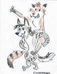 absurd_res anthro canid canine canis chupakaibra duo hi_res huge_filesize klondike_(bendo) male mammal marmalade_(dotstream) mustelid musteline procyonid raccoon staccoon stoat true_musteline weasel wolf