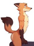 2024 anthro arched_back butt canid canine claws disney eyebrows fox fur hi_res jrjresq male mammal muscular muscular_anthro muscular_male narrowed_eyes nick_wilde nipples nude side_view simple_background smile solo thick_thighs tuft white_background zootopia