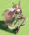  1girl :d animal_ears ascot blush brown_ascot brown_hair dress ear_ornament from_above green_dress hair_between_eyes half_updo highres horse_ears horse_girl horse_tail long_hair long_sleeves looking_at_viewer looking_up masasim multicolored_hair satono_diamond_(umamusume) sleeves_past_fingers sleeves_past_wrists smile solo streaked_hair tail tail_through_clothes umamusume very_long_hair 