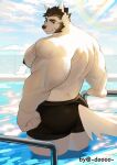 anthro back_muscles bear big_muscles black_bottomwear black_clothing black_pants bottomwear clothing doooo2424 eyebrows hi_res huge_muscles looking_at_viewer male mammal muscular muscular_male pants pecs rainbow sky solo swimming_pool tail thick_eyebrows white_body white_tail