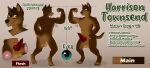 absurd_res animal_genitalia animal_penis anus balls canid canine canine_genitalia canine_penis canis domestic_dog flexing genitals harrison_townsend hi_res knot male mammal model_sheet muscular penis reading_glasses saggy_balls solo tipzykitzy