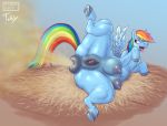  anus breasts equid equine fart female friendship_is_magic genitals hi_res mammal my_little_pony nipples pussy rainbow_dash_(mlp) toby_art 