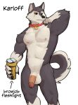 2024 abs anthro balls biceps big_balls big_muscles big_penis canid canine canis character_name claws collar directional_arrow domestic_dog english_text eyebrows flaccid fur genitals hand_behind_head hi_res holding_object holding_sex_toy humanoid_genitalia humanoid_penis husky jrjresq karloff_(jrjresq) male mammal muscular muscular_anthro muscular_male navel nipples nordic_sled_dog notched_ear nude pecs penetrable_sex_toy penis scar sex_toy simple_background solo spitz standing text tuft white_background
