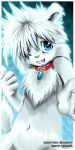 1:2 anthro artist_name blue_eyes border canid collar front_view fur grin hair half-length_portrait looking_at_viewer male mammal messy_hair monotone_body monotone_fur navel nude one_eye_closed penguinexperience portrait red_collar smile solo white_body white_border white_hair white_nose