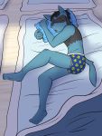  3:4 anthro anthrofied briefs clothed clothing futon fuze hi_res lying male nintendo on_side pillow pillow_hug pok&eacute;mon pok&eacute;mon_(species) riolu sleeping solo topless underwear underwear_only video_games 