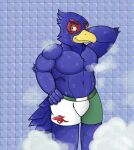 absurd_res anthro avian barazoku beak bird blue_body clothed clothing digital_drawing_(artwork) digital_media_(artwork) falco_lombardi feathers hi_res male melonca53654294 muscular muscular_anthro muscular_male nintendo pecs simple_background smile solo star_fox tail